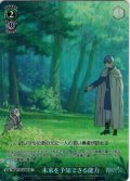 【SR星1】未来を予知できる能力[WS_SFN/S136-048S]