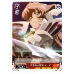 画像1: 不退転の覚悟 マリア[WS_SG/W70-062U]