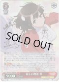 【SP仕様】新しい物語 恵[WS_SHS/W71-056SP]
