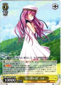 “夏の思い出”うみ[WS_SMP/W130-003RR]
