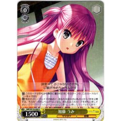 画像1: 加藤 うみ[WS_SMP/W130-006R]