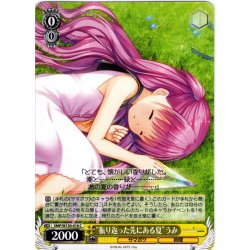 画像1: “振り返った先にある夏”うみ[WS_SMP/W130-018C]