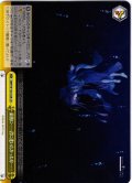 最後に……君に逢いたかったな……[WS_SMP/W130-028CR]