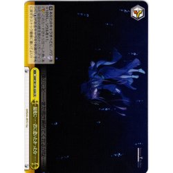 画像1: 最後に……君に逢いたかったな……[WS_SMP/W130-028CR]
