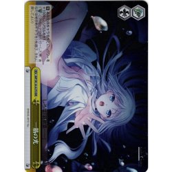 画像1: 【RRR仕様】一筋の光[WS_SMP/W130-027R]