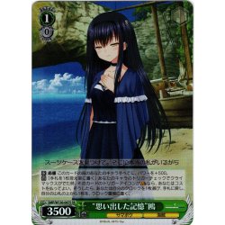 画像1: 【SR仕様(C)】“思い出した記憶”鴎[WS_SMP/W130-047S]