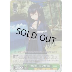 画像1: 【SR仕様(C)】“思い出した記憶”鴎[WS_SMP/W130-047S]