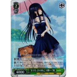 画像1: 【SR仕様(C)】“まぶしさの向こう側へ”鴎[WS_SMP/W130-050S]