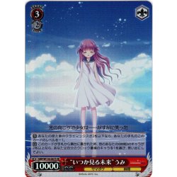 画像1: 【SR仕様(R)】“いつか見る未来”うみ[WS_SMP/W130-067S]