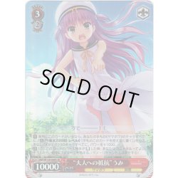 画像1: 【SR仕様(R)】“大人への抵抗”うみ[WS_SMP/W130-068S]