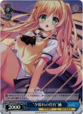 【SR仕様(U)】“夕暮れの灯台”紬[WS_SMP/W130-102S]