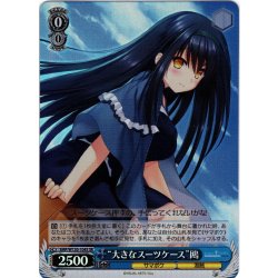 画像1: 【SR仕様(U)】“大きなスーツケース”鴎[WS_SMP/W130-104S]