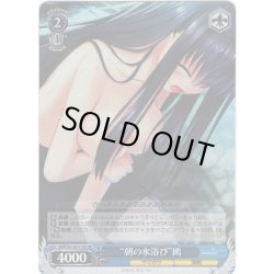 画像1: 【SR仕様(C)】“朝の水浴び”鴎[WS_SMP/W130-113S]