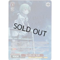 画像1: 【SP仕様(RR)】“夏の思い出”美希[WS_SMP/W130-060_SP]