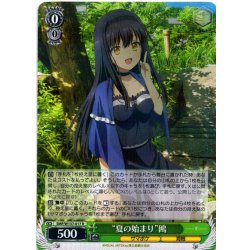画像1: “夏の始まり”鴎[WS_SMP/W137-017R]