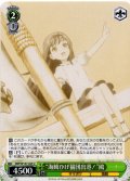 “海賊ひげ猫団出港！”鴎[WS_SMP/W137-025U]