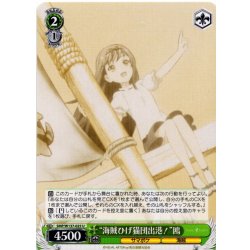 画像1: “海賊ひげ猫団出港！”鴎[WS_SMP/W137-025U]