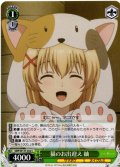 猫のお出迎え 紬[WS_SMP/W137-032C]