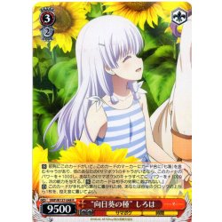 画像1: “向日葵の種” しろは[WS_SMP/W137-048R]