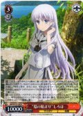 “夏の始まり”しろは[WS_SMP/W137-049R]