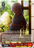 「視て」しまった「未来」 しろは[WS_SMP/W137-052U]