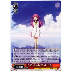 画像1: “ポケットの中の思い出” うみ[WS_SMP/W137-053U]