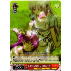 画像1: 包まれる時間 しろは＆うみ[WS_SMP/W137-054U]