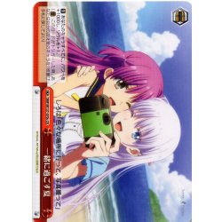 画像1: 一緒に過ごす夏[WS_SMP/W137-070cCR]