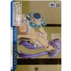 画像1: ラッキーアクシデント[WS_SMP/W137-098CR]