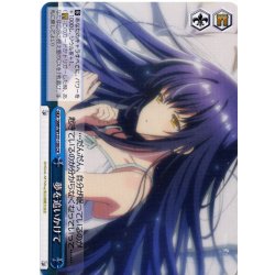 画像1: 夢を追いかけて[WS_SMP/W137-100CR]