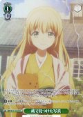 【SR星1】蔵で見つけた写真[WS_SMP/W137-033S]