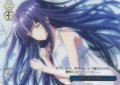 【RRR仕様】夢を追いかけて[WS_SMP/W137-100R]