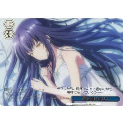 画像1: 【RRR仕様】夢を追いかけて[WS_SMP/W137-100R]