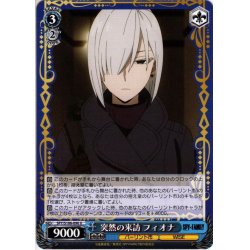 画像1: 突然の来訪 フィオナ[WS_SPY/S106-090U]