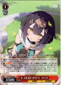ネコを追いかけて コハク[WS_STS/W140-059C]
