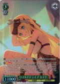 【SR星1】ワイルドドライブ セイナ[WS_STS/W140-028S]