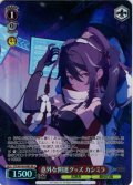 【SR星1】意外な開運グッズ カシミラ[WS_STS/W140-048S]