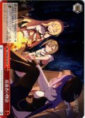 巡遊者の物語[WS_STS/W140-T20TD]