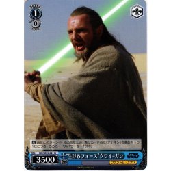 画像1: “生けるフォース”クワイ＝ガン[WS_SW/SE39-021N]