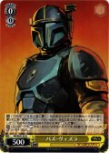 パズ・ヴィズラ[WS_SW/SE47-03N]
