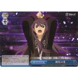 画像1: 明星の光[WS_TAL/S126-123CR]