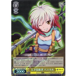 画像1: 【SR仕様(R)】天才技術者 パスカル[WS_TAL/S126-006S]