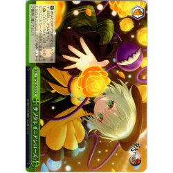 画像1: 「サブタレイニアンローズ」 [WS_THP/S130-057CR]
