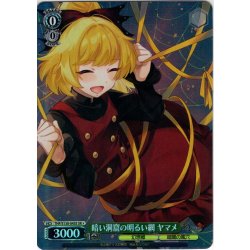 画像1: 【SR星1】暗い洞窟の明るい網 ヤマメ [WS_THP/S130-045S]