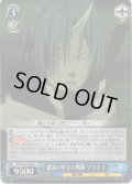濃霧の中での戦闘 ソウエイ[WS_TSK/S101-089U]