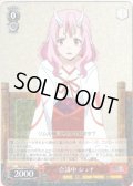 会議中 シュナ[WS_TSK/S82-036R]