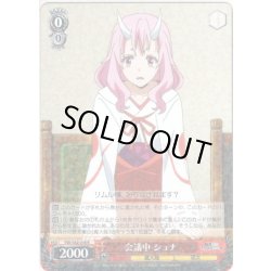 画像1: 会議中 シュナ[WS_TSK/S82-036R]
