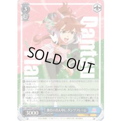 画像1: 舞台の真ん中に ダンツフレーム[WS_UMA/W119-079RR]