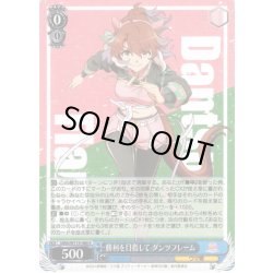 画像1: 勝利を目指して ダンツフレーム[WS_UMA/W119-080R]