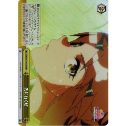 画像1: 【RRR仕様】先に行くぜ[WS_UMA/W119-025R]